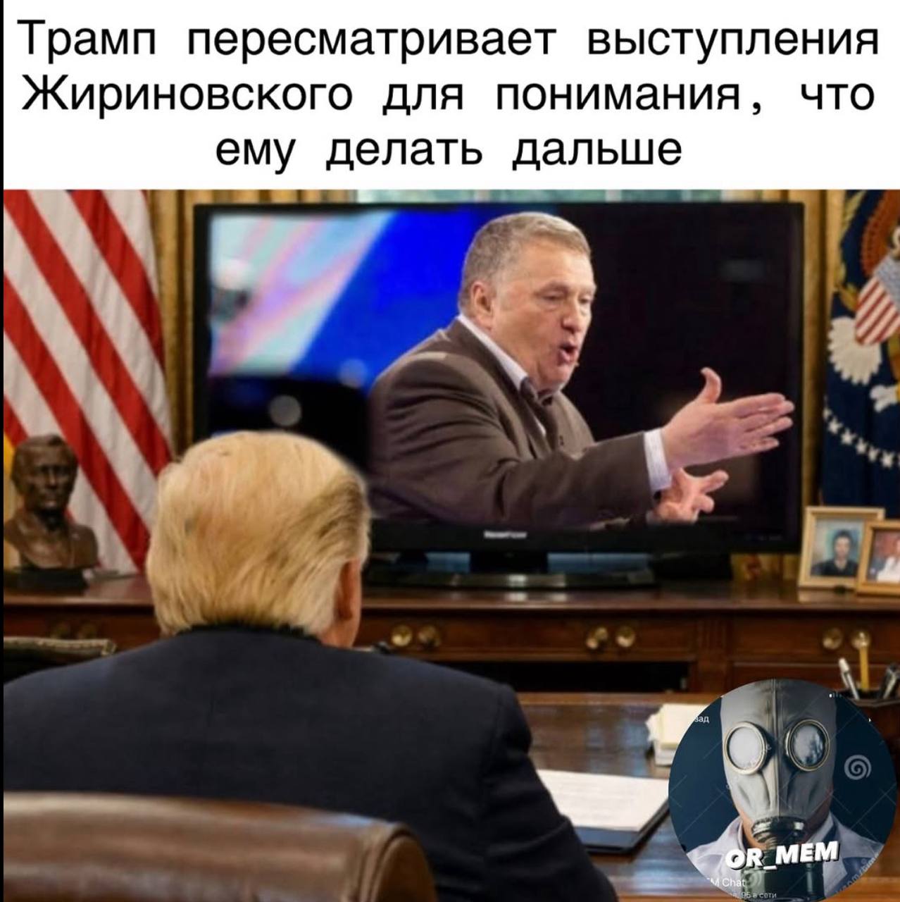 Трамп пересматривает выступления Жириновского для понимания, что ему делать дальше у R_MEM
