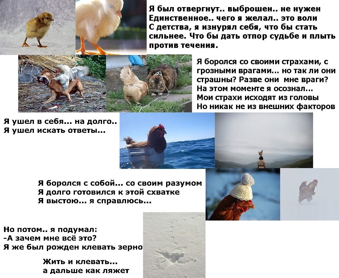 Я был отвергнут.. не нужен Единственное.. чего я желал.. это воли С детства, я изнурял себя, что бы стать сильнее. Что бы дать отпор судьбе и плыть против течения. a яборолся своими страхами, с грозны