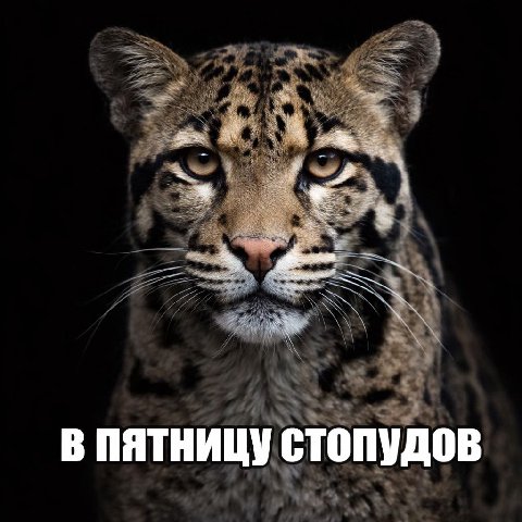В пятницу стопудов
