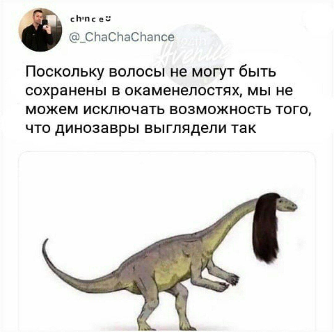 @_ChaChaChance Поскольку волосы не могут быть сохранены в окаменелостях, мы не можем исключать возможность того, что динозавры выглядели так 7