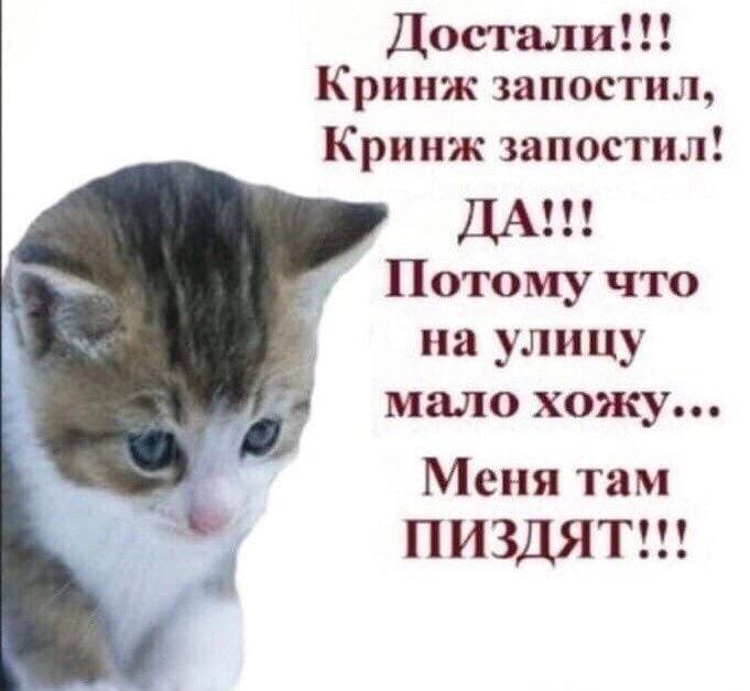 Достали Кринж запостил, Кринж запостил! Потому что на улицу мало хожу... Меня там ПИЗДЯТ see