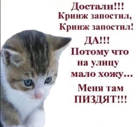 Достали Кринж запостил, Кринж запостил! Потому что на улицу мало хожу... Меня там ПИЗДЯТ see