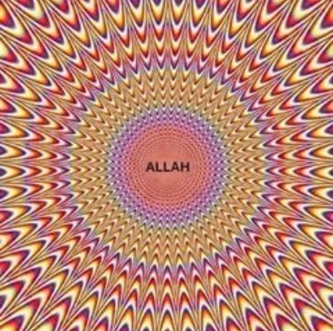С. A 4 я