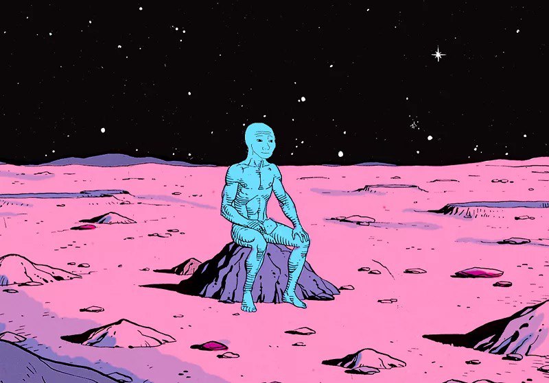 2 4 4