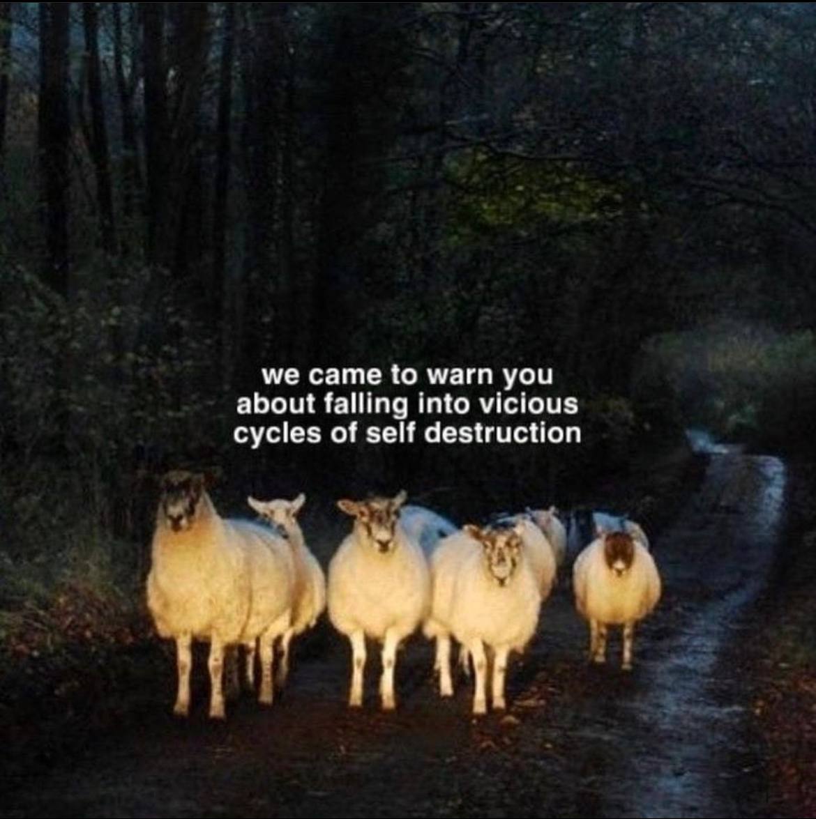 we came to warn you about falling into vicious cycles of self destruction