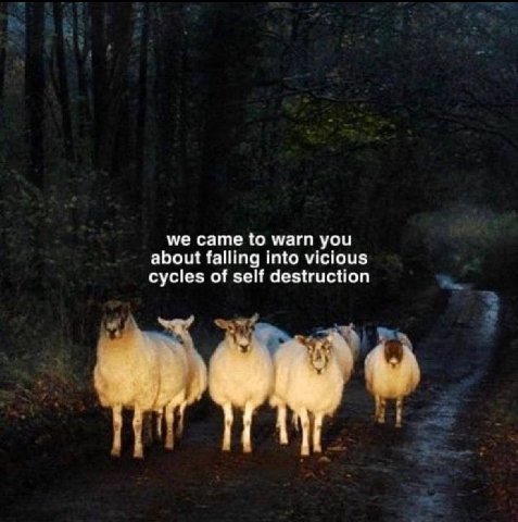 we came to warn you about falling into vicious cycles of self destruction