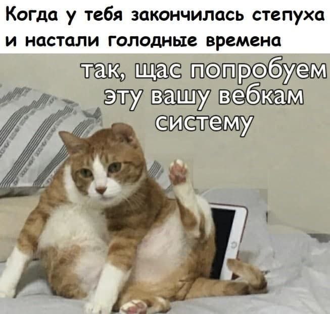 Когда у тебя закончилась степуха и настали голодные времена так, щас попробуем эту вашу вебкам систему
