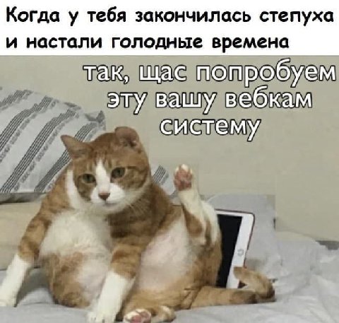 Когда у тебя закончилась степуха и настали голодные времена так, щас попробуем эту вашу вебкам систему