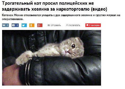 Трогательный кот просил полицейских не задерживать хозяина за наркоторговлю (видео) Котенок Моник отказывался уходить с рук задержанного хозяина и грустно мяукал на оперативников. Отправить Распечатат
