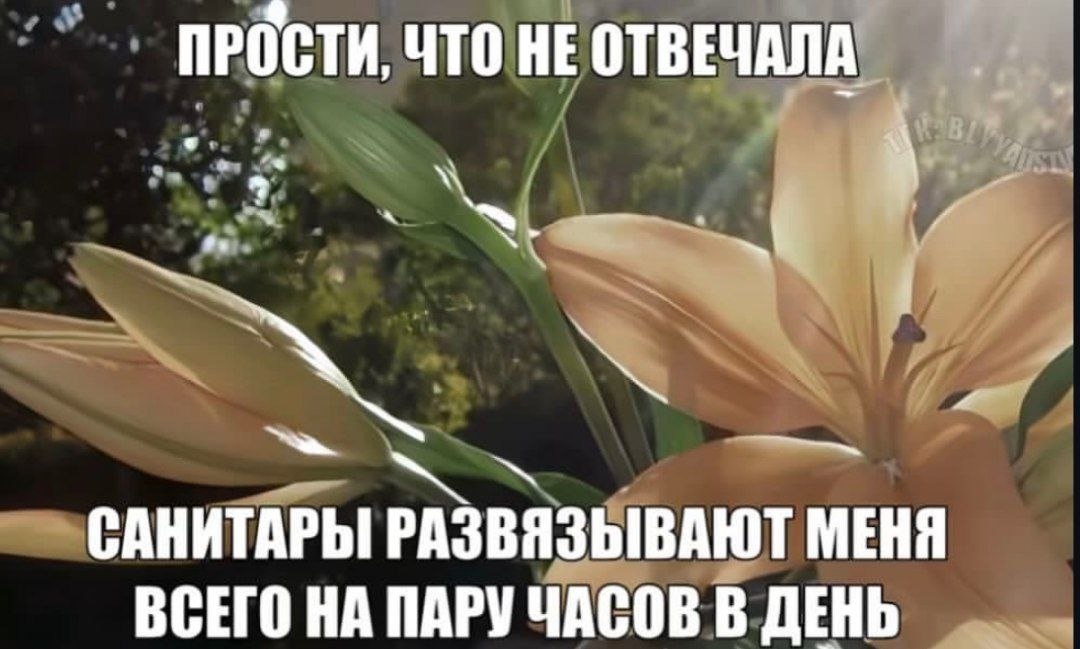 ПРОСТИ, ЧТО НЕ ОТВЕЧАЛА NON САНИТАРЫ РАЗВЯЗЫВАЮТ МЕНЯ ВСЕГО НА ПАРУ ЧАСОВ В ДЕНЬ