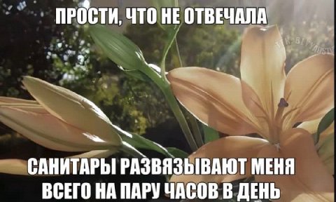 ПРОСТИ, ЧТО НЕ ОТВЕЧАЛА NON САНИТАРЫ РАЗВЯЗЫВАЮТ МЕНЯ ВСЕГО НА ПАРУ ЧАСОВ В ДЕНЬ