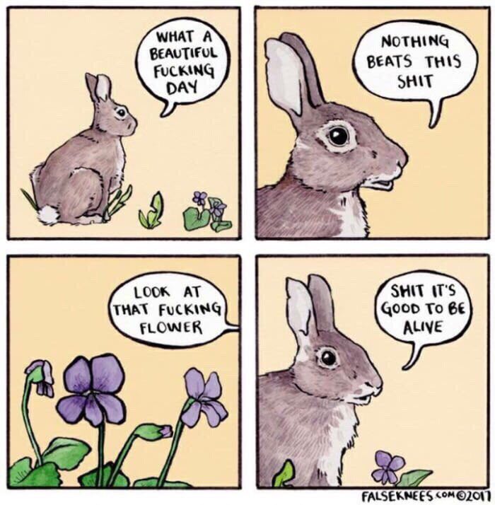 WHAT А NOTHING BEAUTIFUL BEATS THIS FUCKING a DAN SHIT LOOK AT SHIT AT'S THAT To 6€ FLOWER ALIVE А FALSEKNEES