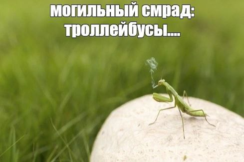 могильный смрад: