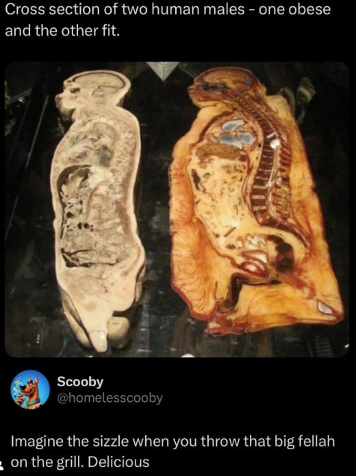 Cross section of two human males one obese and the other fit. Scooby @homelesscooby Imagine the sizzle when you throw that big fellah on the grill. Delicious
