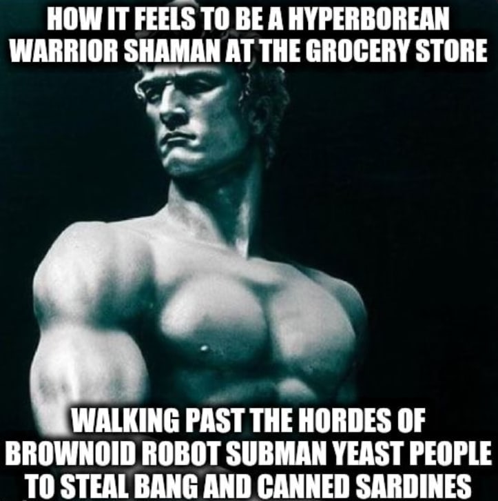 HOW IT FEELS ТО BE AHYPERBOREAN WARRIOR SHAMAN AT THE GROCERY STORE WALKING PAST THE HORDES OF BROWNOID ROBOT SUBMAN YEAST PEOPLE TO STEAL BANG AND CANNED SARDINES
