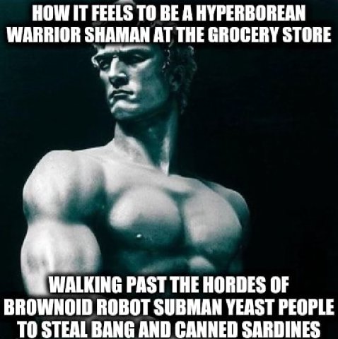 HOW IT FEELS ТО BE AHYPERBOREAN WARRIOR SHAMAN AT THE GROCERY STORE WALKING PAST THE HORDES OF BROWNOID ROBOT SUBMAN YEAST PEOPLE TO STEAL BANG AND CANNED SARDINES