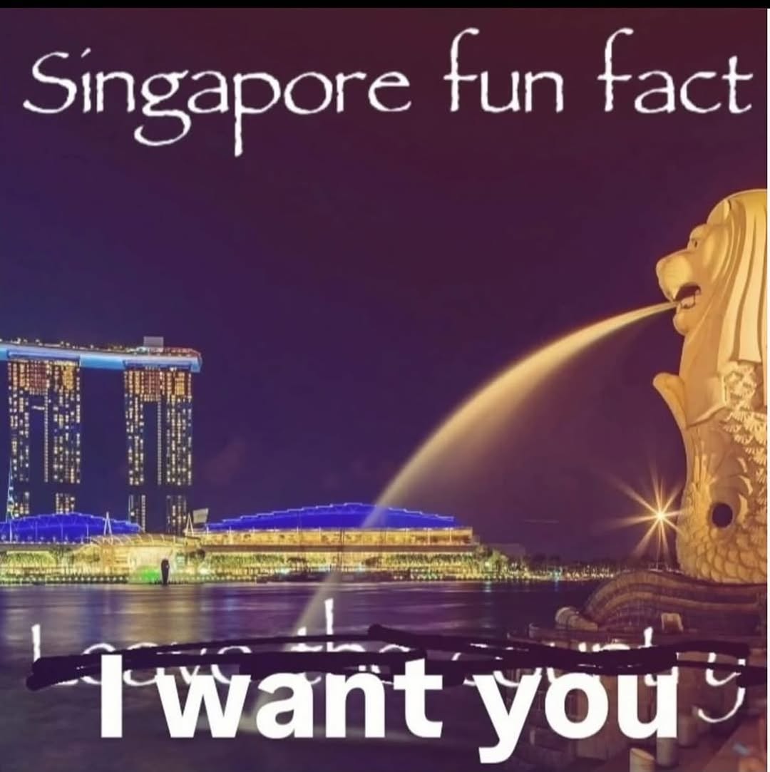 Singapore fun tact you