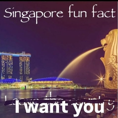 Singapore fun tact you