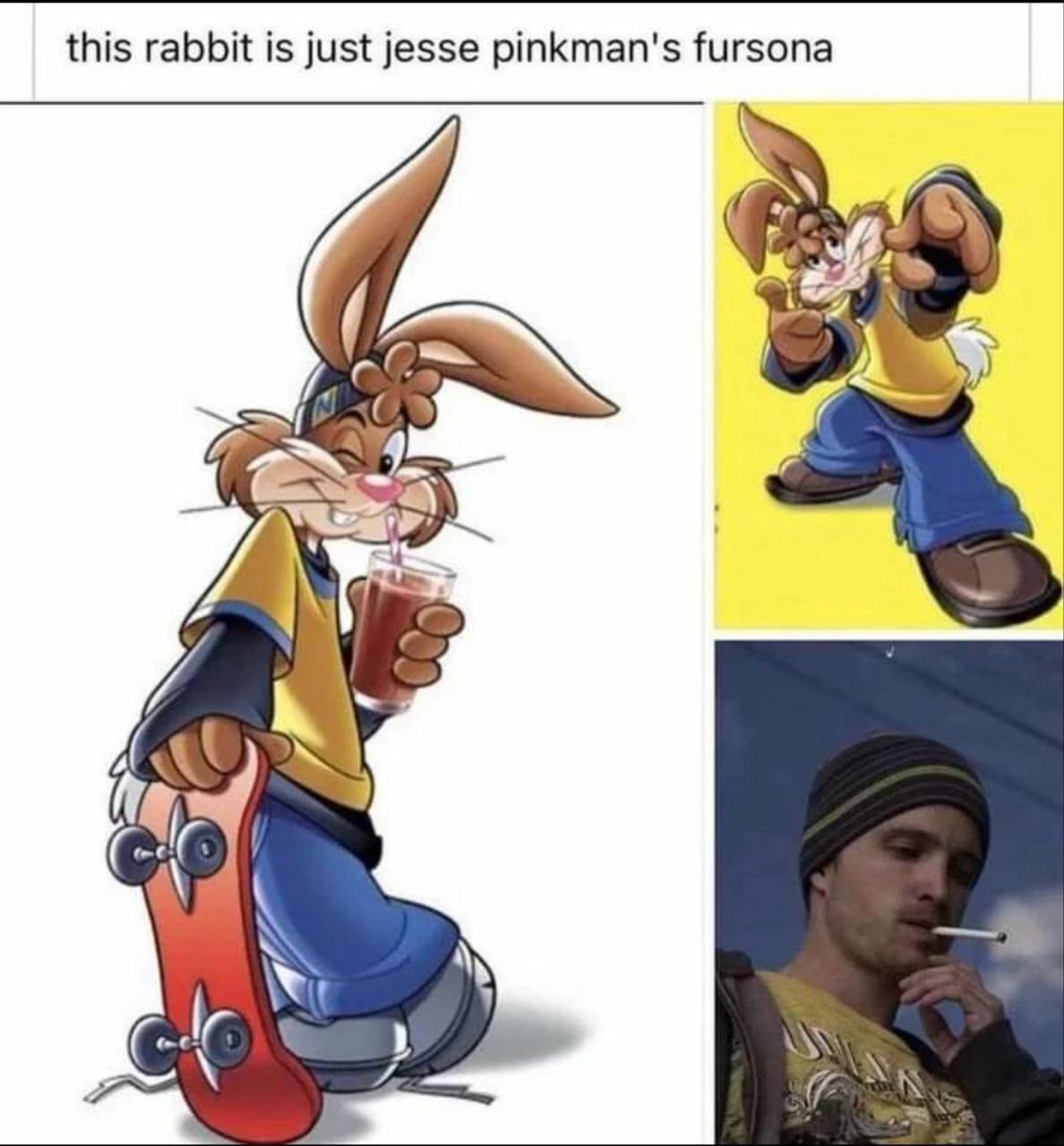this rabbit is just jesse pinkman's fursona of