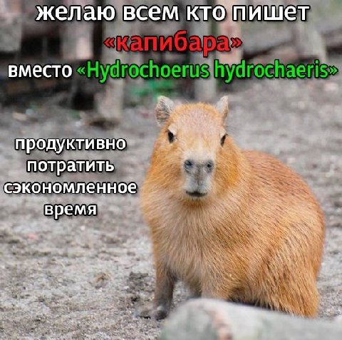 желаю всем кто пишет вместо продуктивно потратить сэкономленное время a
