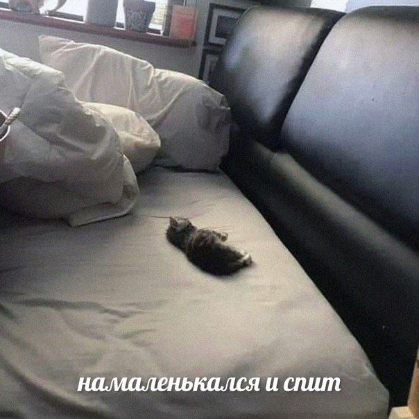 Споть. Режим