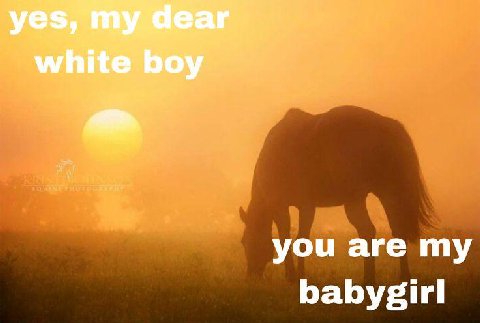 you are my babygirl