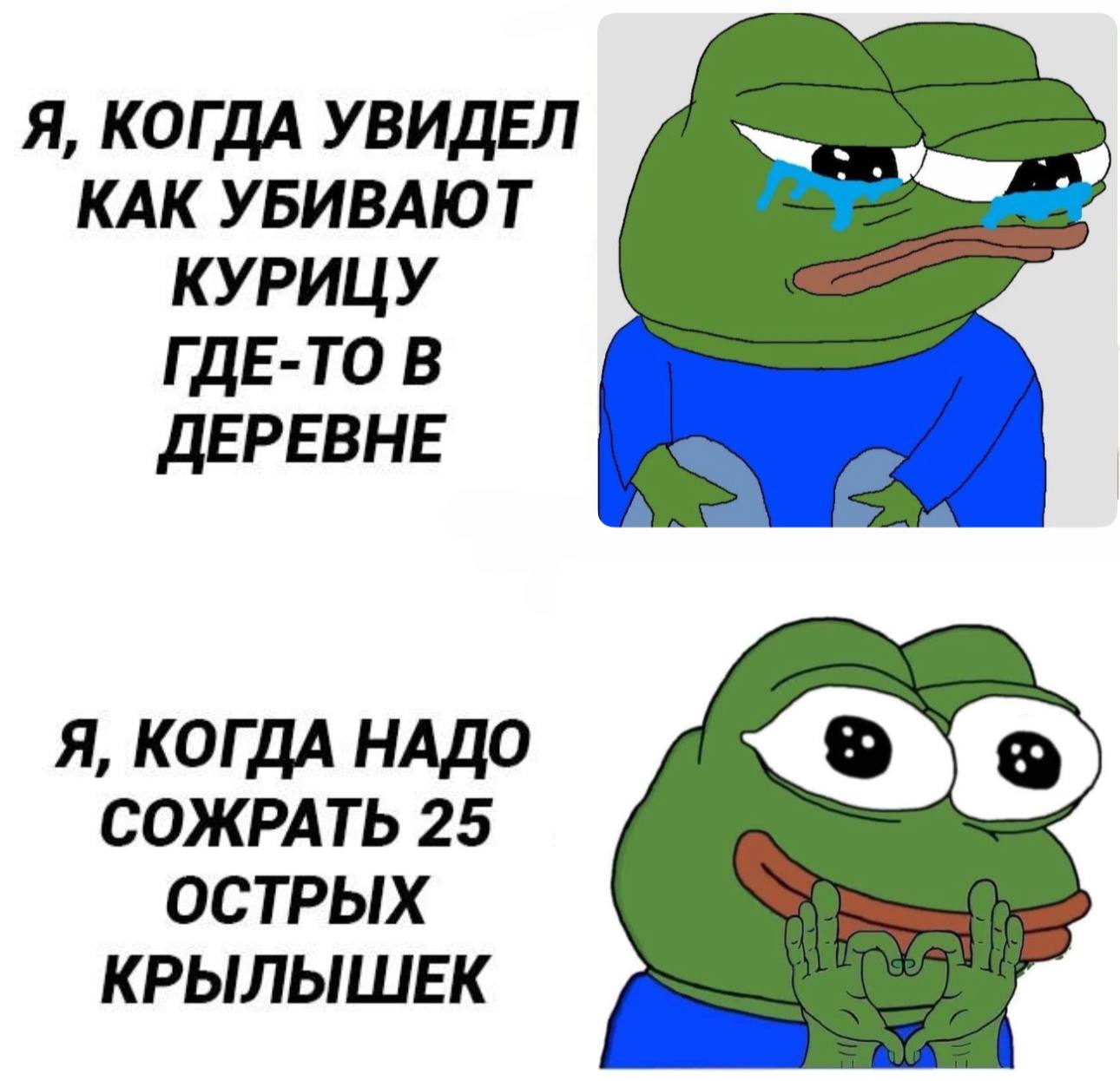 Я, КОГДА УВИДЕЛ КАК УБИВАЮТ КУРИЦУ ГДЕ-ТО В ДЕРЕВНЕ Я, КОГДА НАДО СОЖРАТЬ 25 ОСТРЫХ КРЫЛЫШЕК