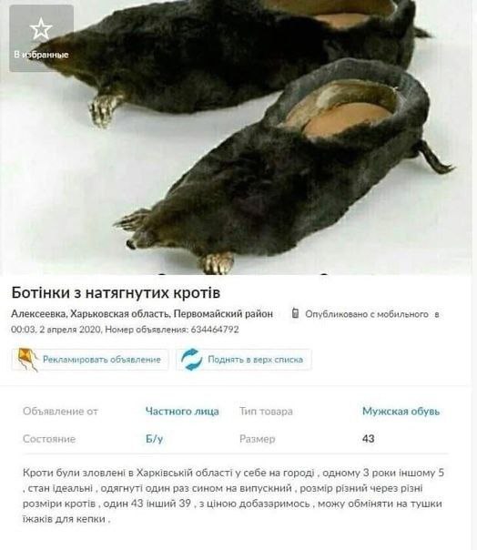 у у Я 3 натягнутих KPOTIB Алексеевка, Харьковская область, Первомайский район В с мобильного а 00:03. 2 впреля 2020, Номер объявления: 634464792 Частного лица Мужская обувь 43 Кроти були зловлен! в об