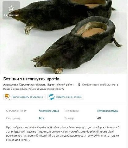 у у Я 3 натягнутих KPOTIB Алексеевка, Харьковская область, Первомайский район В с мобильного а 00:03. 2 впреля 2020, Номер объявления: 634464792 Частного лица Мужская обувь 43 Кроти були зловлен! в об