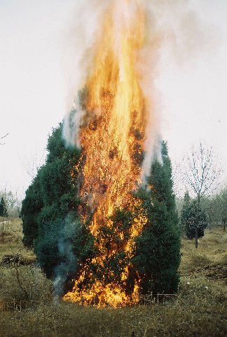 НИ Я я и к a 3 1 у he 4! 7 i a ADS Me as А Laie 4
