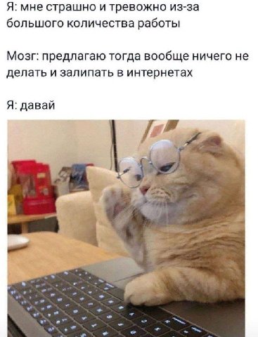 Я: мне страшно и тревожно из-за большого количества работы Мозг: предлагаю тогда вообще ничего не делать и залипать в интернетах Я: давай