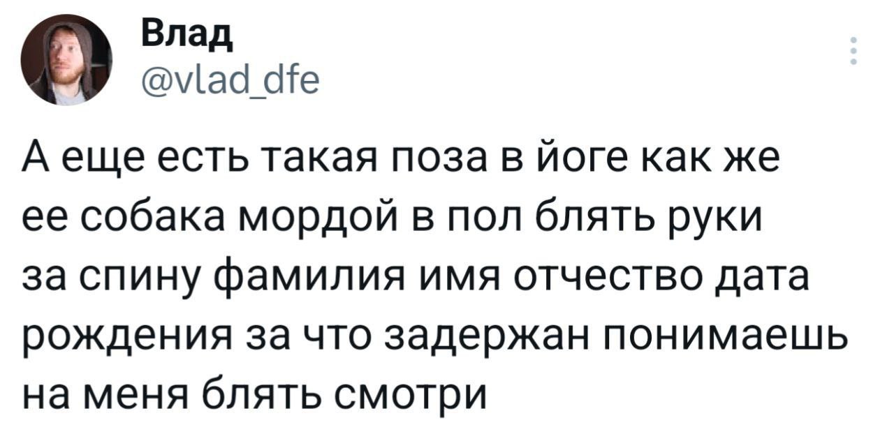 О Влад dfe А еще есть такая поза в йоге как же ее собака мордой в пол блять руки за спину фамилия имя отчество дата рождения за что задержан понимаешь на меня блять смотри