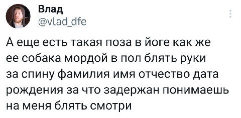 О Влад dfe А еще есть такая поза в йоге как же ее собака мордой в пол блять руки за спину фамилия имя отчество дата рождения за что задержан понимаешь на меня блять смотри