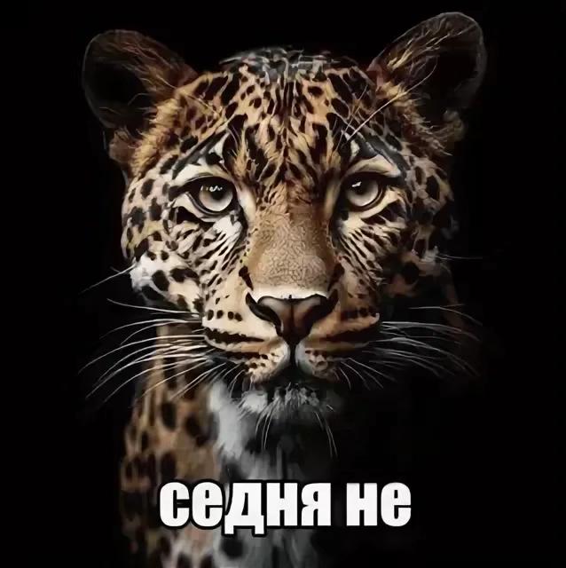 #7 6 in 5 4 у седня HE