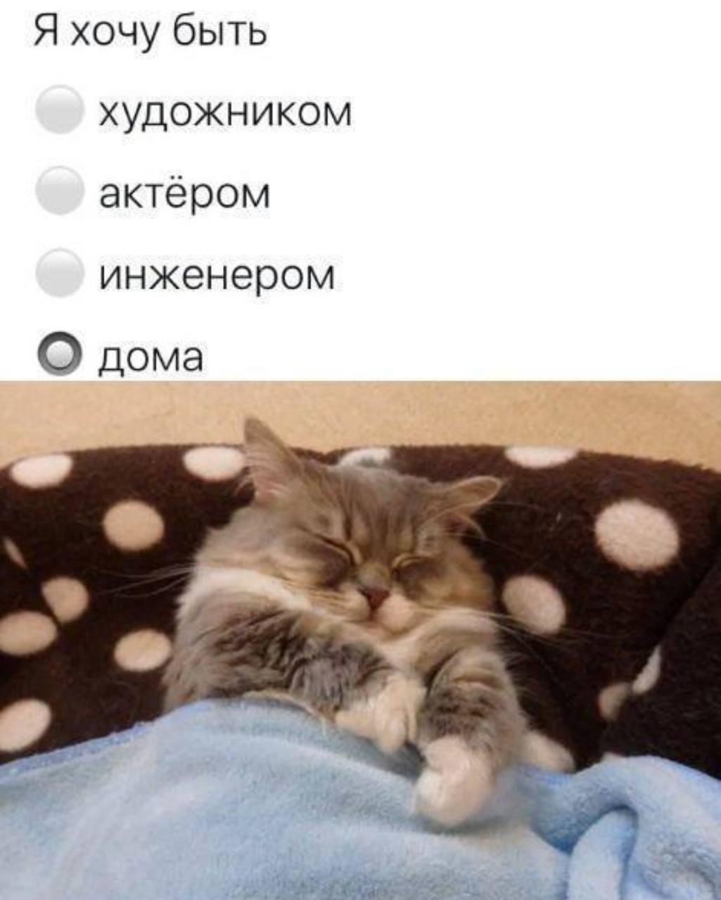 Я хочу быть художником актером инженером О дома