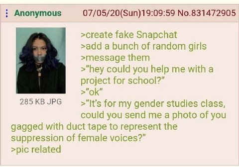 Anonymous 07/05/20(Sun)19:09:59 No.831472905 >create fake Snapchat >add a bunch of random girls >message them >"hey could you help me with a project for school?” 285KBJPG for my gender studies class, 