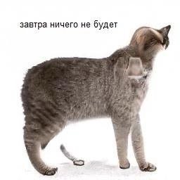 завтра ничего не будет