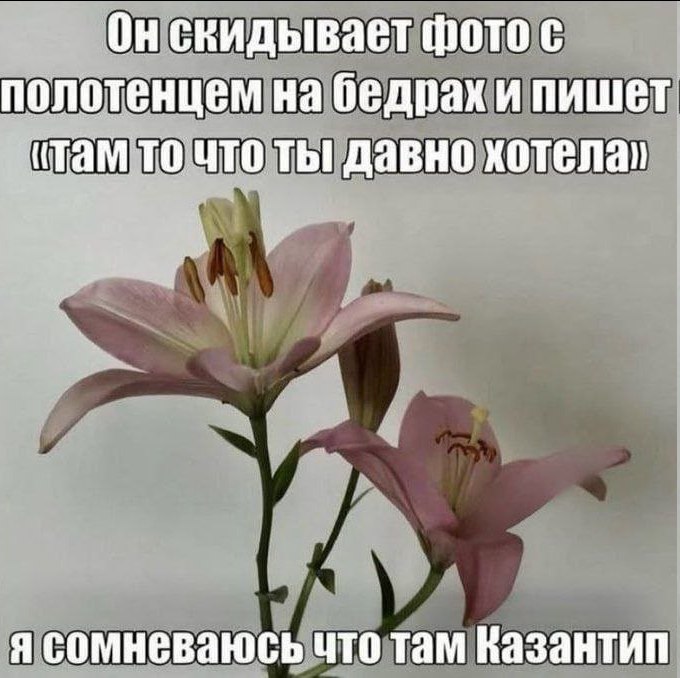 Он скидывает фото с полотенцем на бедрах и пишет (там то что ты давно хотелал я сомневаюсь что там Вазантип