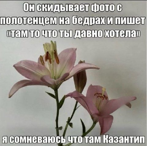 Он скидывает фото с полотенцем на бедрах и пишет (там то что ты давно хотелал я сомневаюсь что там Вазантип