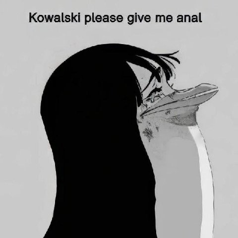 Kowalski please give me anal