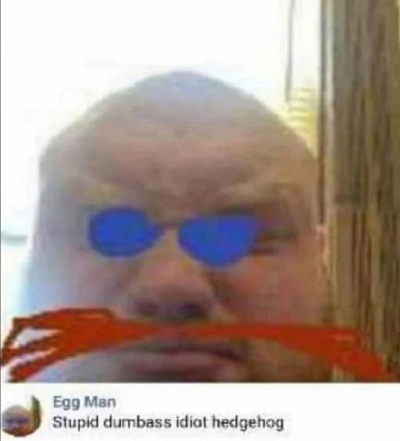 Мап Stupid dumbass idiat hedgehog