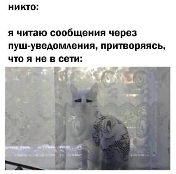никто: я читаю сообщения через пуш-уведомления, притворяясь, что я не в сети:
