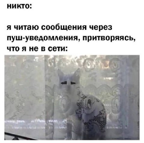 никто: я читаю сообщения через пуш-уведомления, притворяясь, что я не в сети: