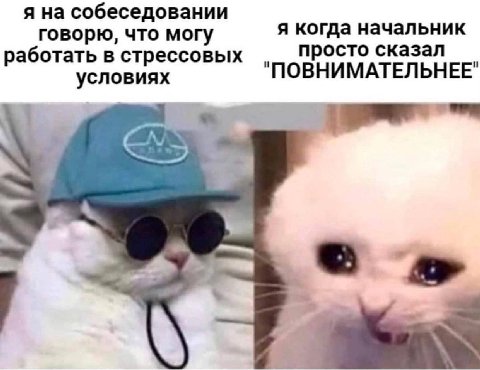 я на собеседовании говорю, что могу я когда начальник работать в стрессовых просто сказал условиях "ПОВНИМАТЕЛЬНЕЕ"
