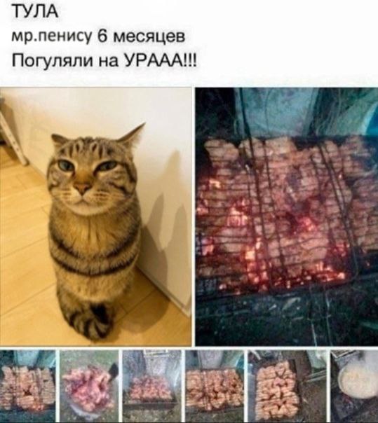 ТУЛА мр.пенису 6 месяцев Погуляли на YPAAA!!! я a