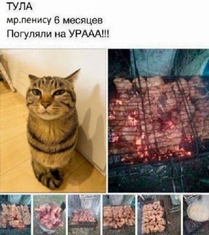 ТУЛА мр.пенису 6 месяцев Погуляли на YPAAA!!! я a
