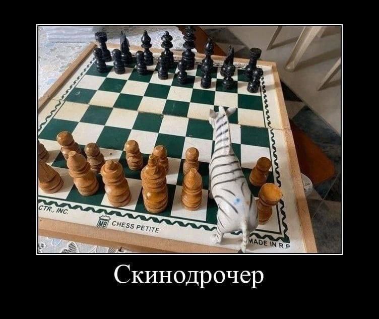 Скинодрочер