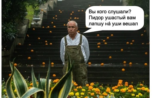 Вы кого слушали? Пидор ушастый вам лапшу на уши вешал