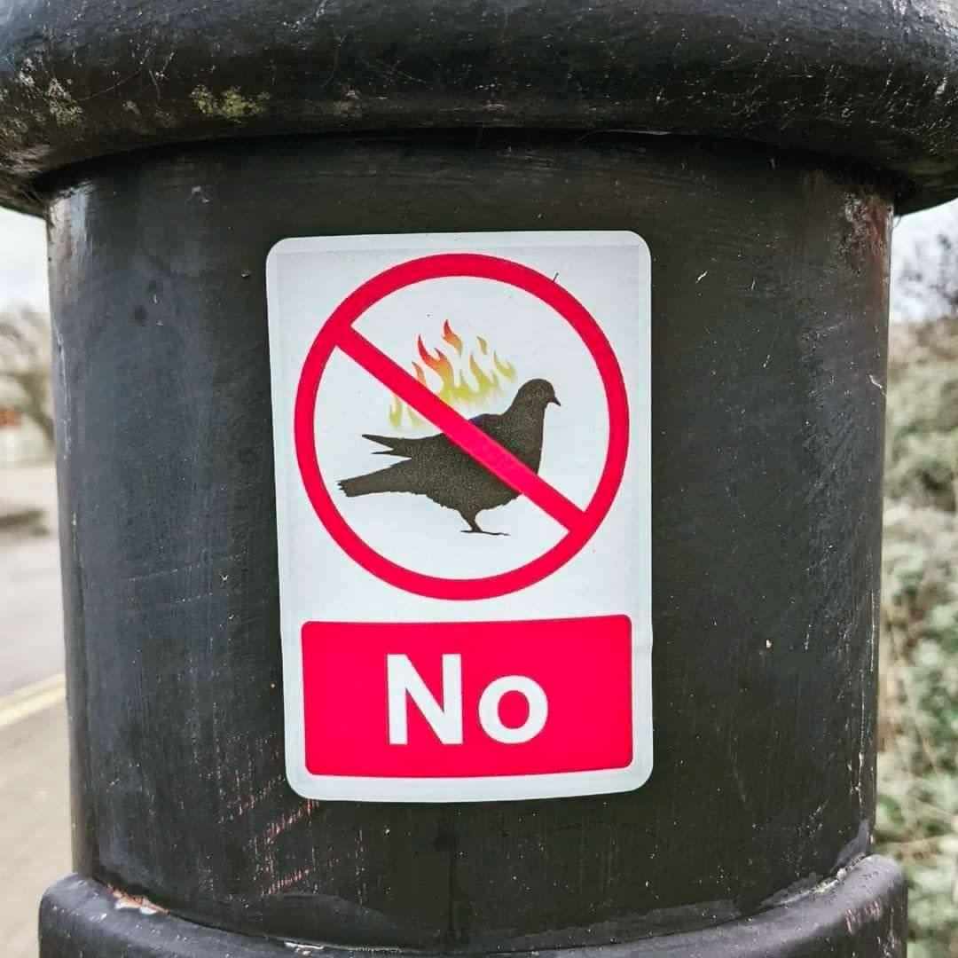 No