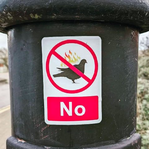 No